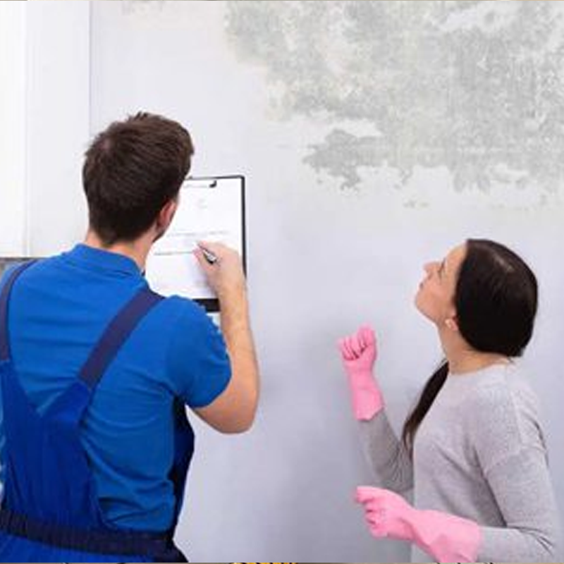 risks of mold